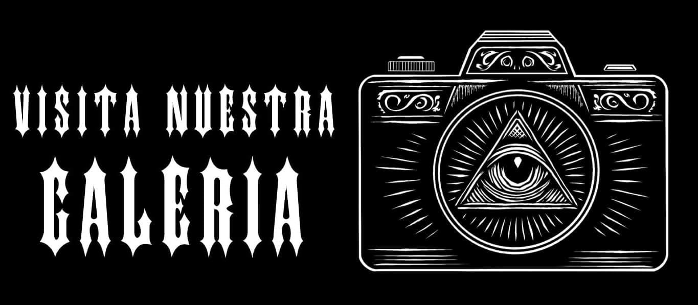 Visita nuestra galeria